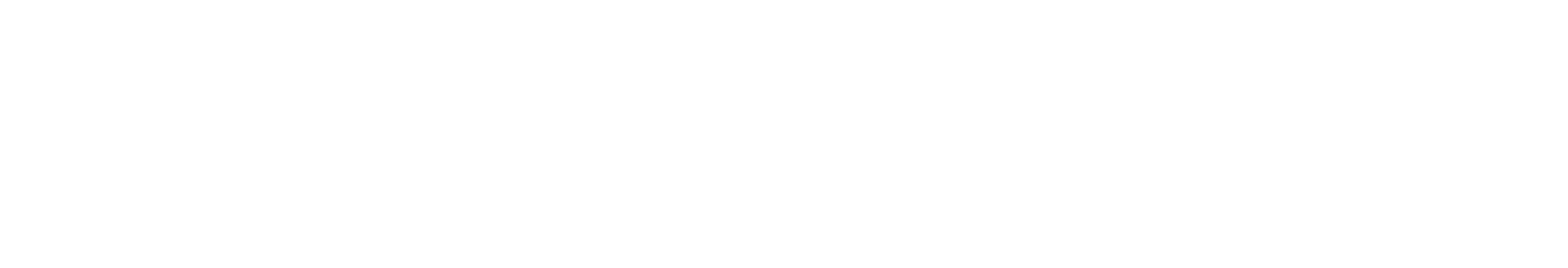 SageLink Systems